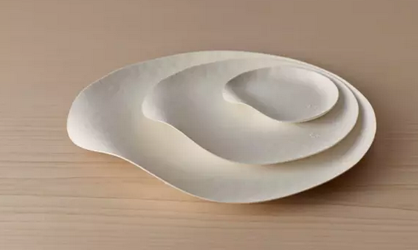 一次性餐具竟然美得像藝術(shù)品?。?）.png